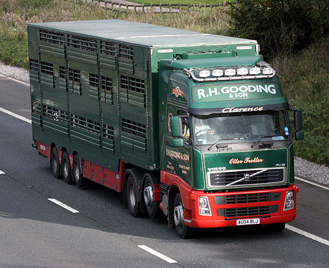 R H Gooding on the M5 news from